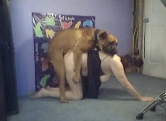 Video :Big tits girl got banged from behind with big dog dick